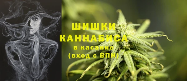винт Осташков