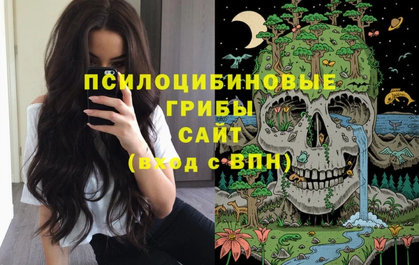 не бодяженный Осинники