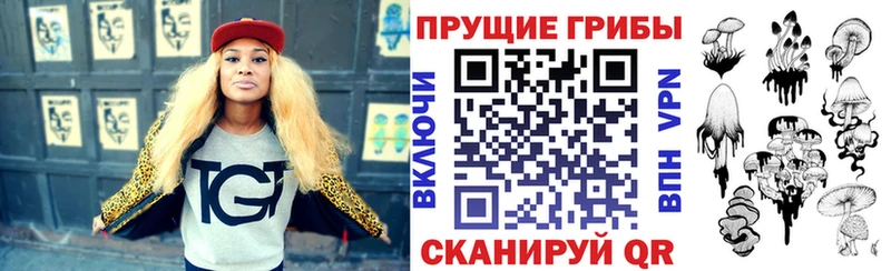 Псилоцибиновые грибы Cubensis Богучар