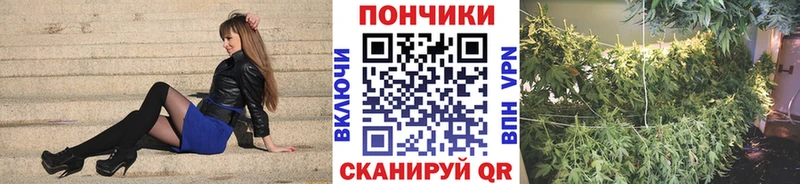МАРИХУАНА гибрид  Богучар 